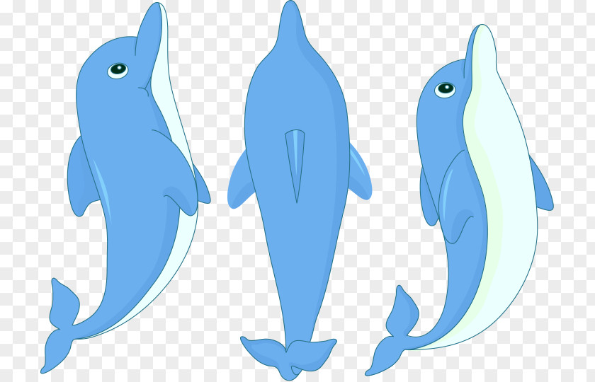 Cute Little Dolphin Is Jumping Cartoon Clip Art PNG