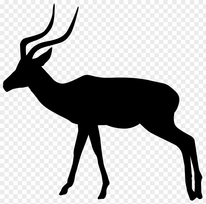 Gazelle Impala Antelope Gemsbok Clip Art PNG