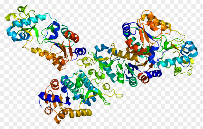 Sirtuin 5 Gene Carbamoyl Phosphate Synthetase I PNG