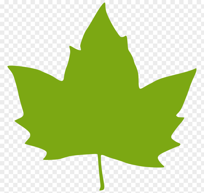 Tree Stump Clipart Leaf Green Clip Art PNG