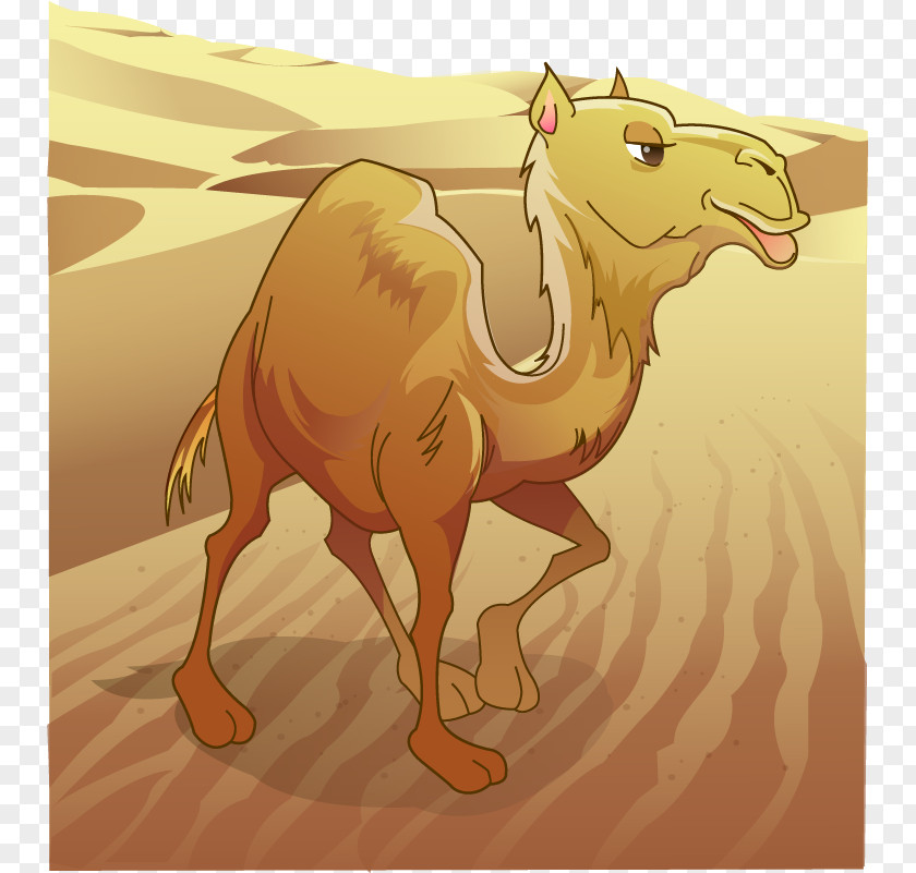 Vector Painted Desert Camel Dromedary Bactrian Clip Art PNG