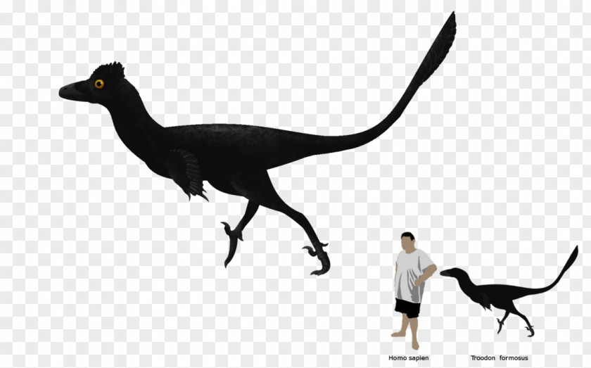 Velociraptor Fauna Beak PNG