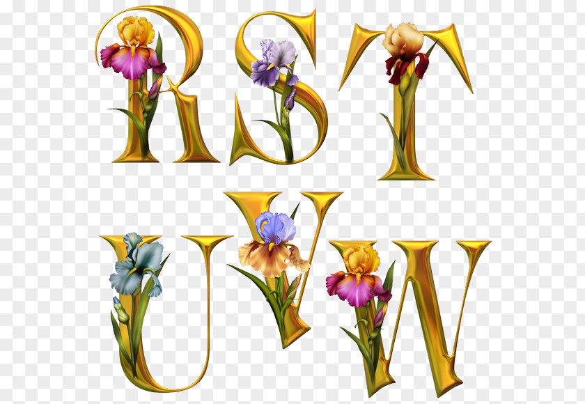 ALPHABETS Letter French Alphabet Flower PNG