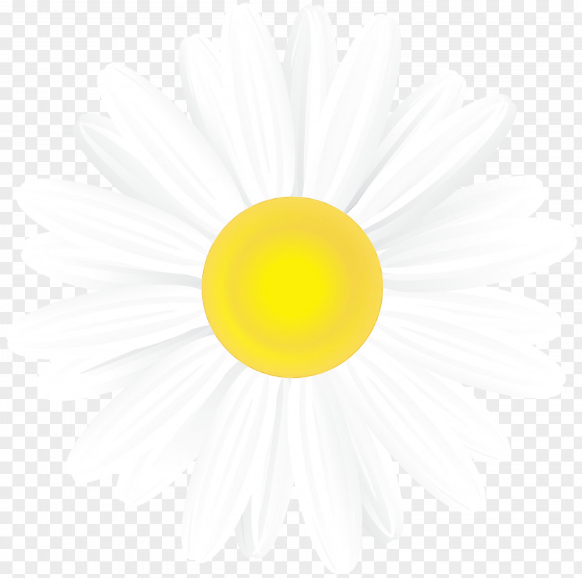 Fried Egg White Watercolor Flower Background PNG