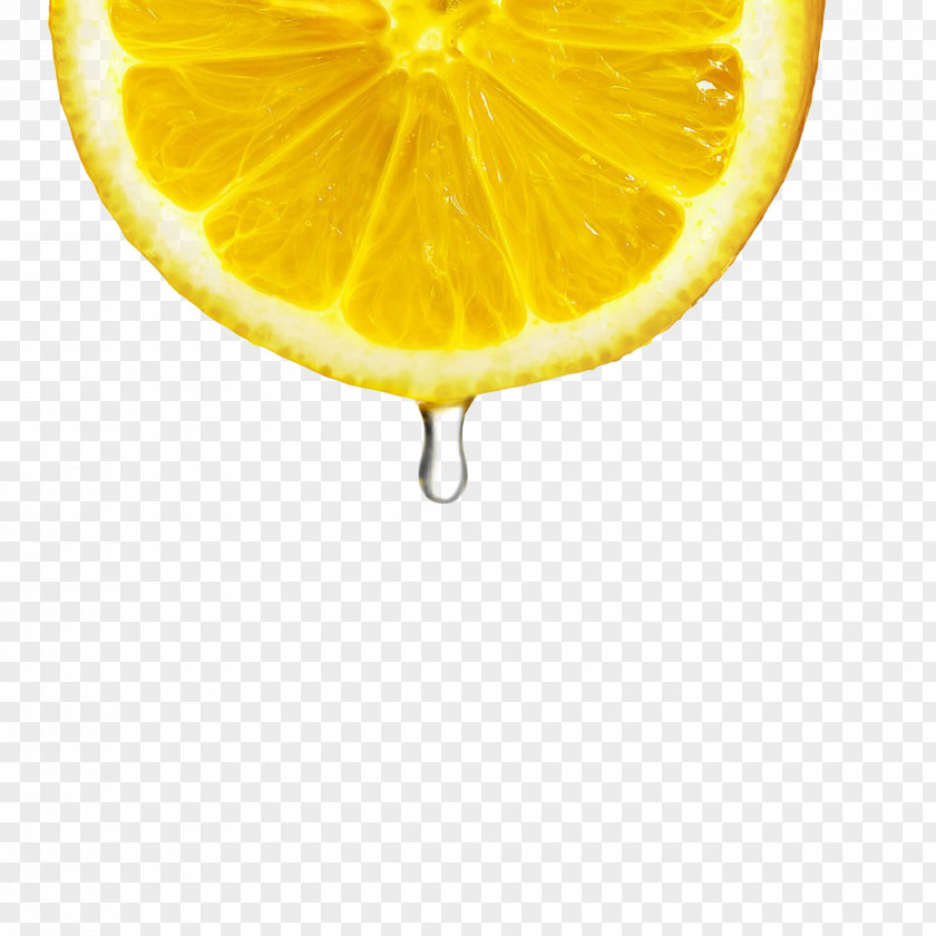 Lemon Slices Fruit PNG