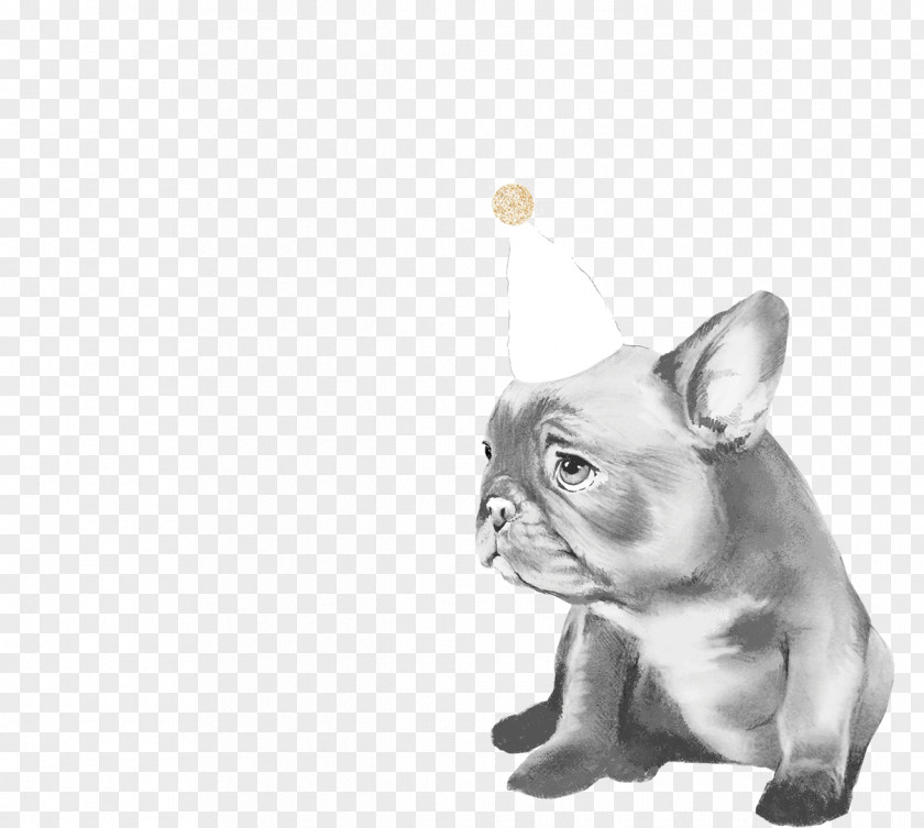 Pug French Bulldog Puppy Cat Chow PNG