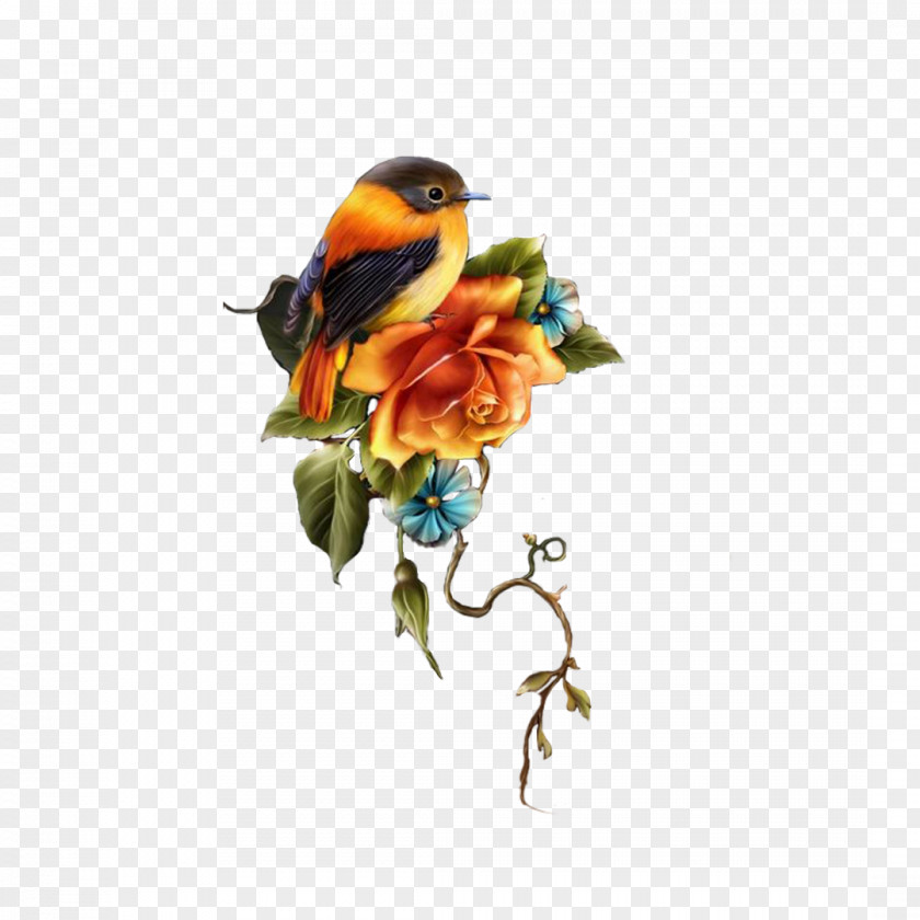 Bird Flower Animation Smiley Clip Art PNG