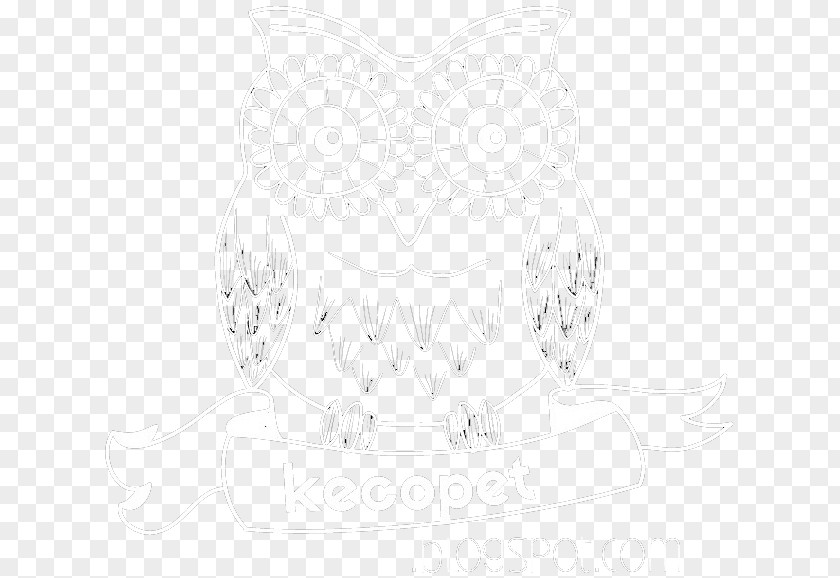 Owl Line Art Drawing White PNG