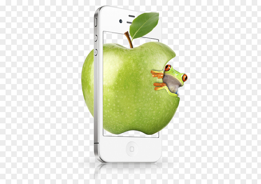 Apple Phone Box Blue Frog IPhone 4 5 Google Images PNG