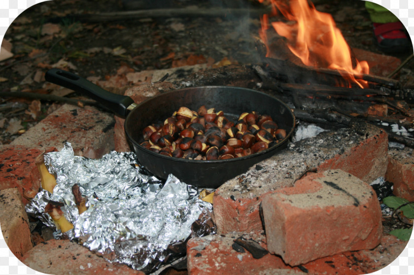 Barbecue Grilling Cookware Roasting Dish PNG