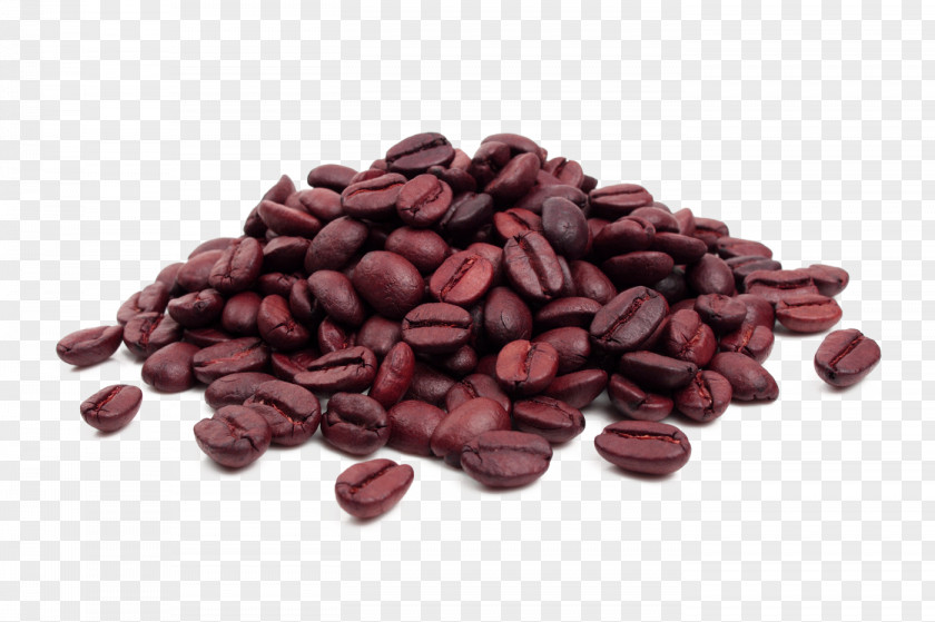 Brown Simple Coffee Beans Decorative Patterns Arabica Cafe Bean PNG