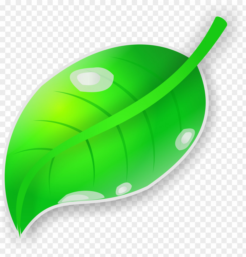 Green Vector Leaf CorelDRAW PNG