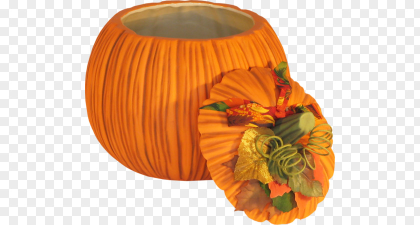 Pumpkin Cucurbita Pepo Winter Squash Ceramic Thanksgiving PNG