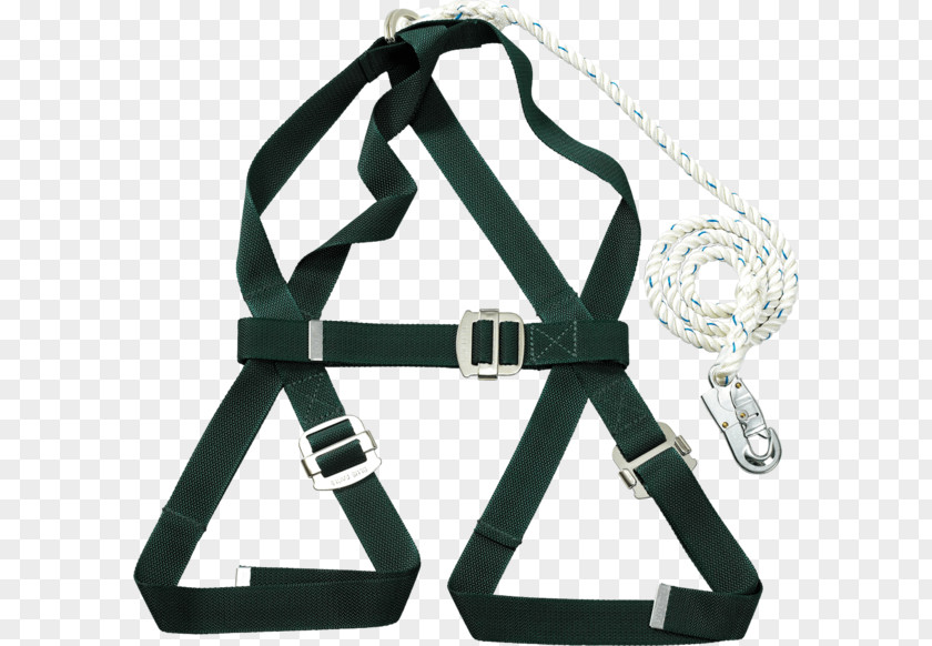 Safety Harness Seat Belt Webbing Business PNG