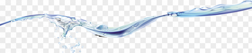 Water Affinity Beak Services Line Art PNG