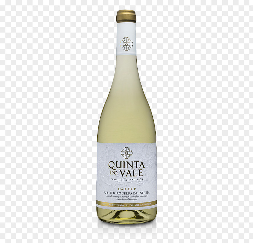 Wine White Sparkling Vinho Verde Albariño PNG