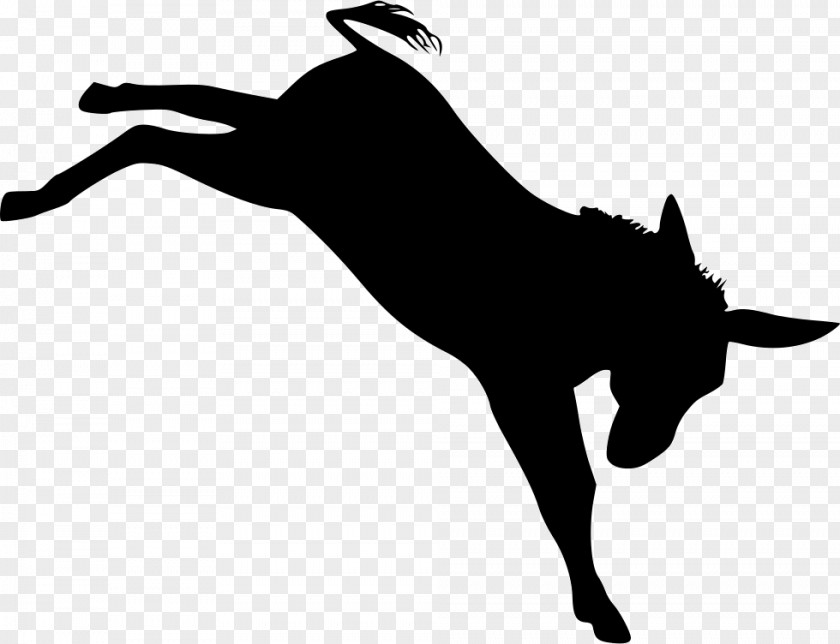Cat Dog Horse Chicken PNG