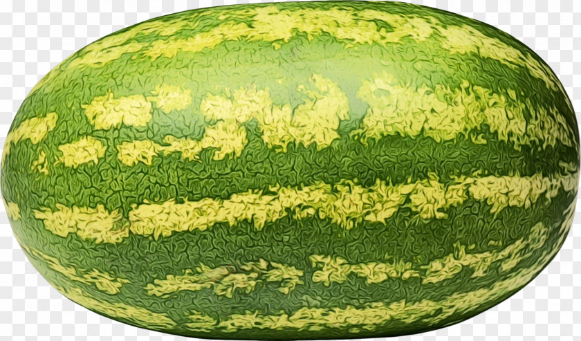 Cucurbita Vegetable Watermelon Background PNG