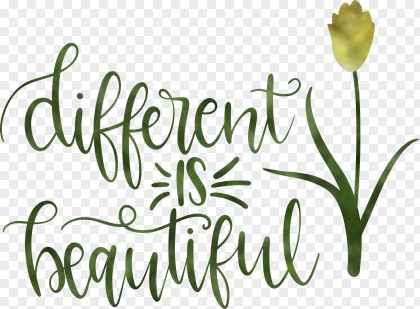 Different Is Beautiful Womens Day PNG