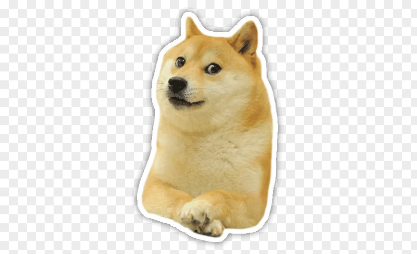 Dogecoin Sleeveless Shirt Run, Jump, Doge Weather PNG