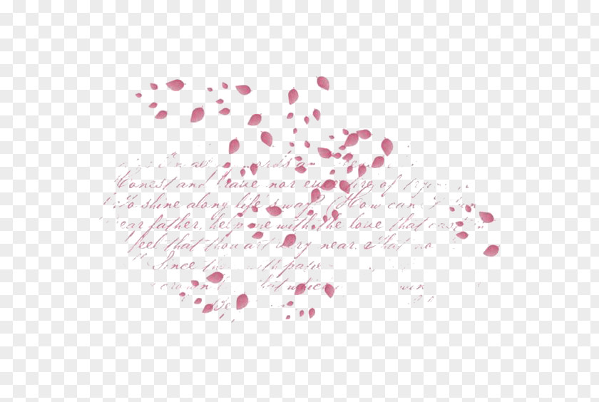 Falling Flowers Petal Flower PNG