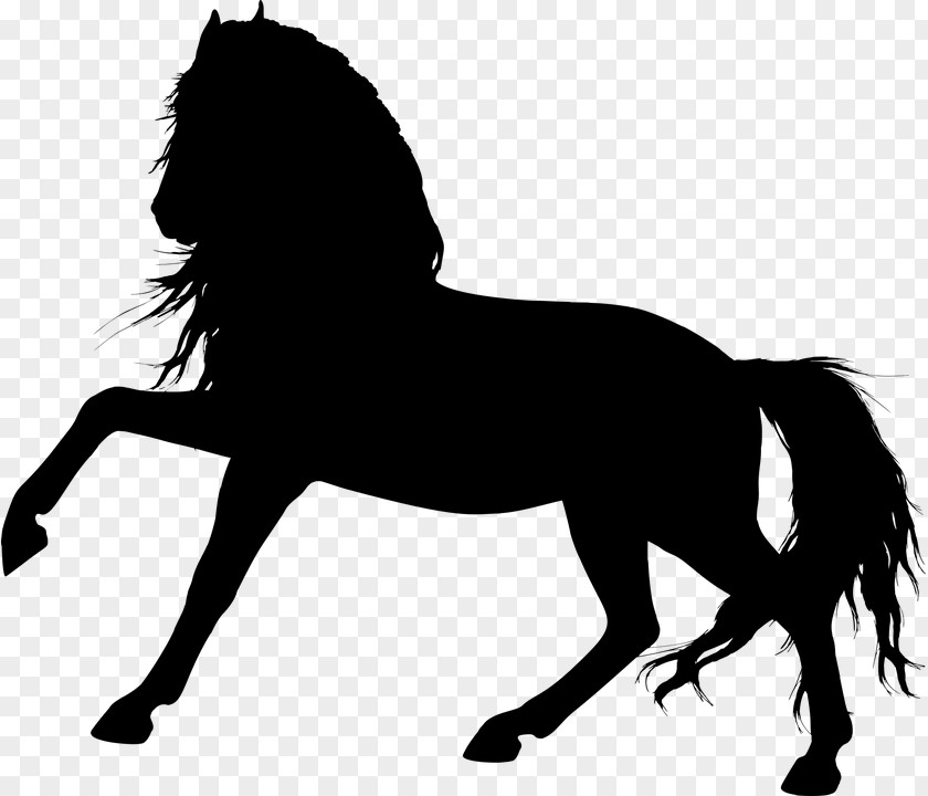 Horse Vector Graphics Clip Art Silhouette Unicorn PNG