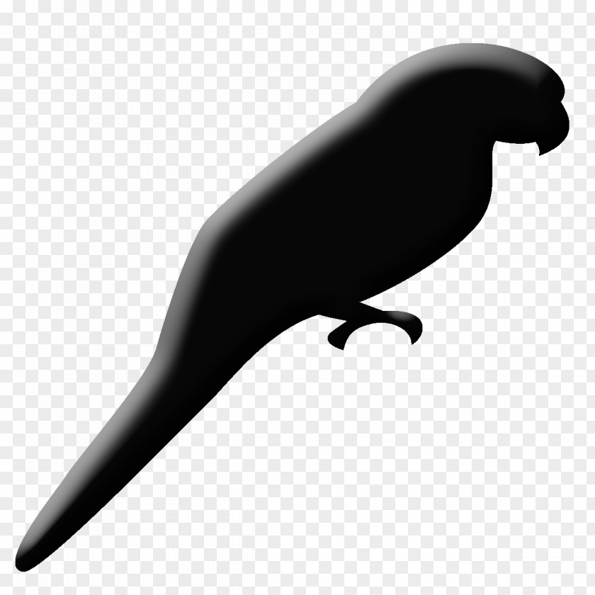 Lion Sea Clip Art Fauna Beak PNG