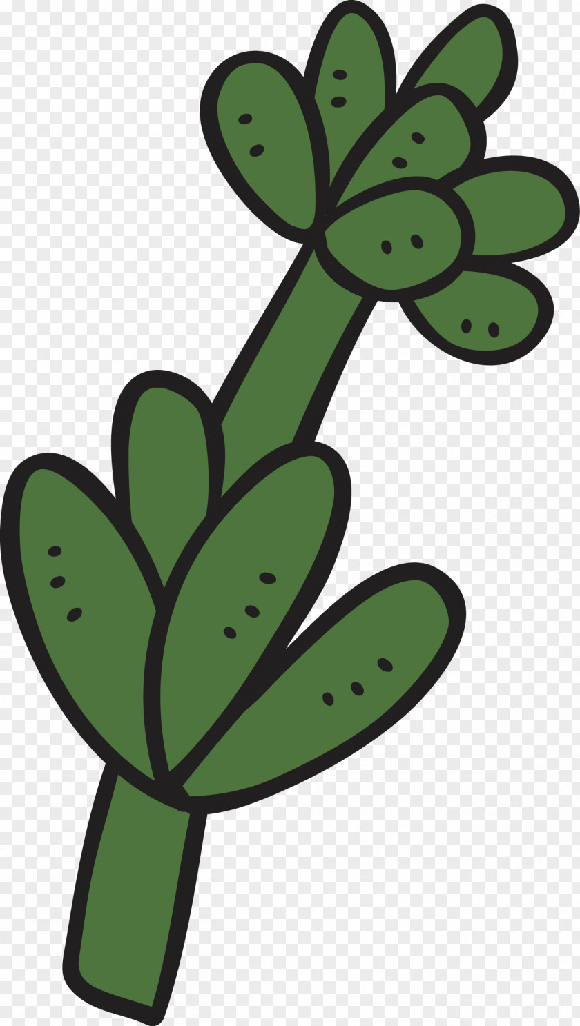 Part Of The Cactus Cartoon Succulent Plant Cactaceae PNG