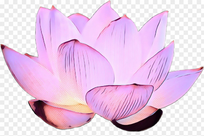 Perennial Plant Cut Flowers Lily Flower Cartoon PNG