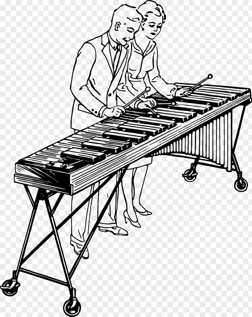 Xylophone Marimba Clip Art PNG