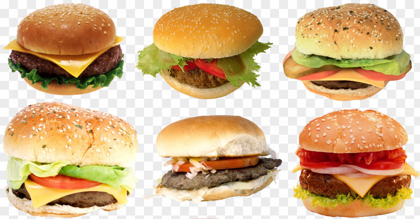 Burger Hamburger Fast Food Cheeseburger Chicken Sandwich French Fries PNG