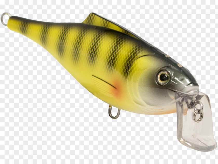 Perch Spoon Lure Osmeriformes Oily Fish PNG