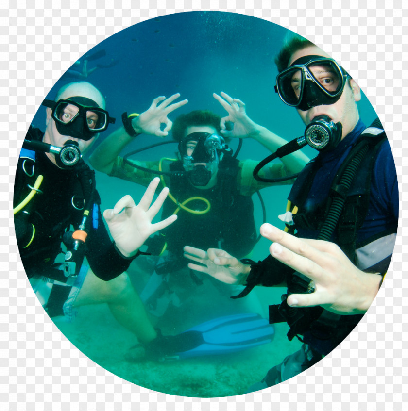 Scuba Diving Underwater Diver Communications Snorkeling PNG