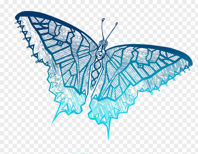 Hand Painted Butterfly Graphic Design PNG