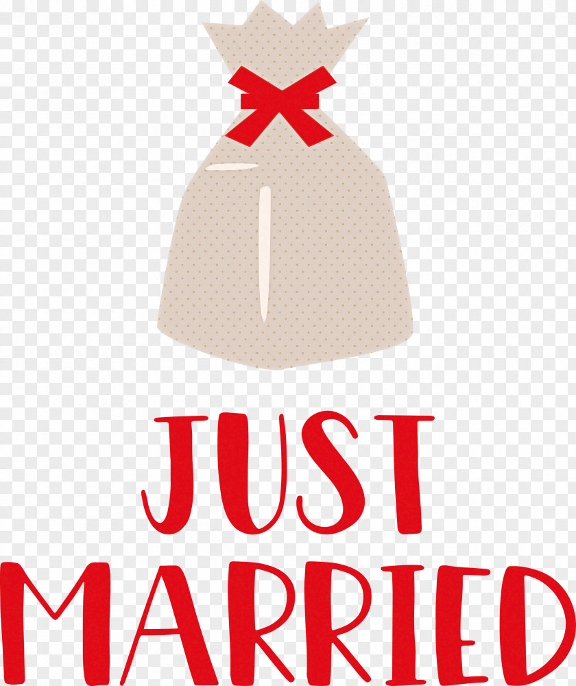 Just Married Wedding PNG