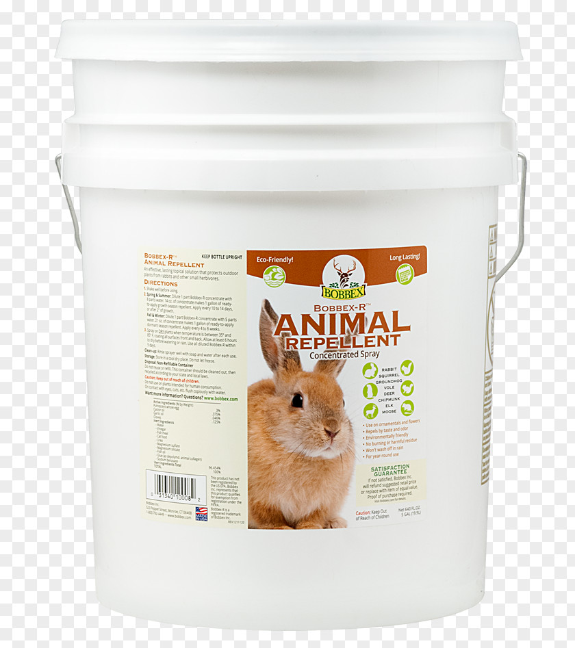 Squirrel Domestic Rabbit Animal Repellent Household Insect Repellents Groundhog PNG