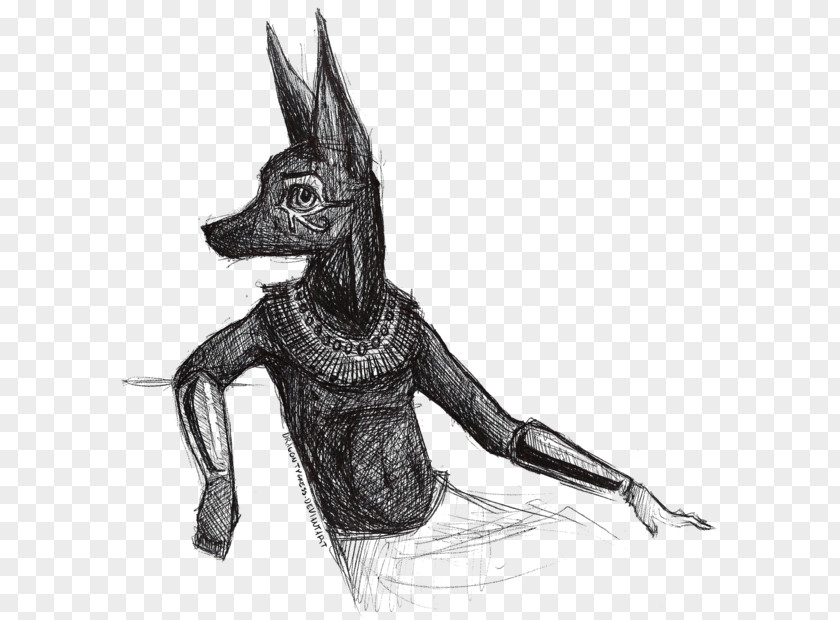 Dog Canidae Macropodidae Hare Sketch PNG
