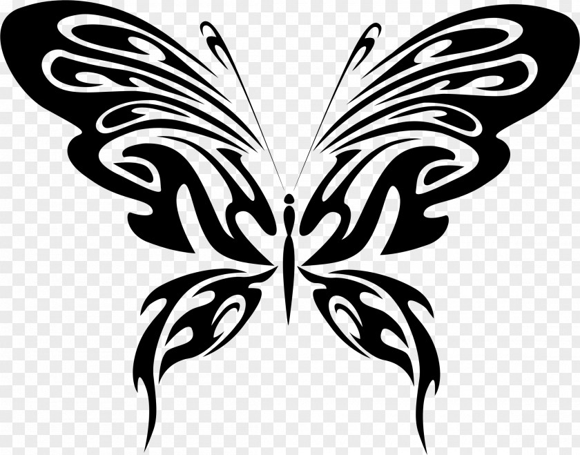 Finish Line Butterfly Art Drawing Clip PNG