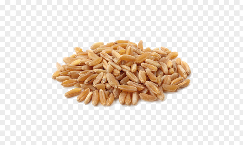 Flour Khorasan Wheat Organic Food Cereal PNG