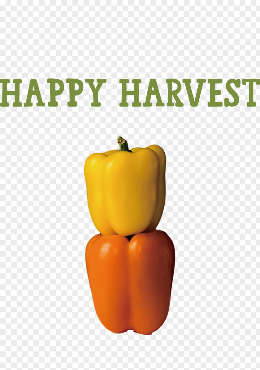 Happy Harvest Harvest Time PNG