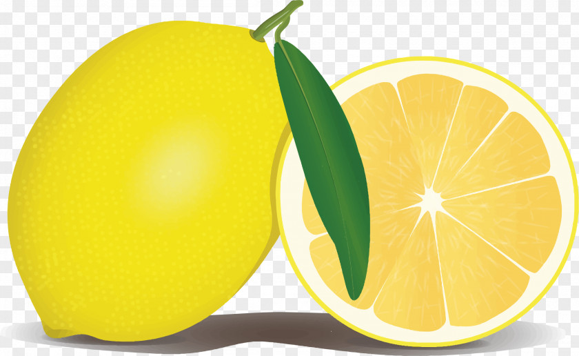 Lemon File Health Symptom Vitamin C Disease PNG