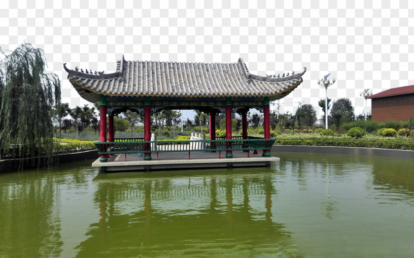 Shanxi Changgou Village Peace Park Hong Kong Wetland PNG