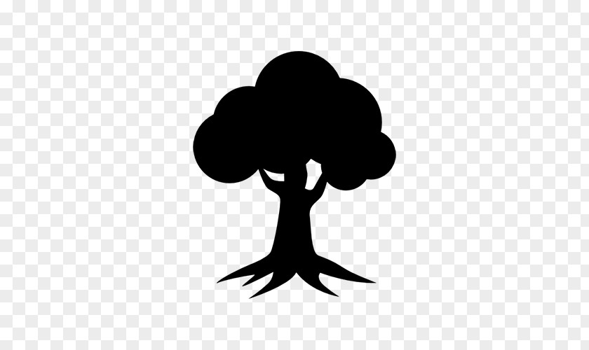 Tree Oak Clip Art PNG