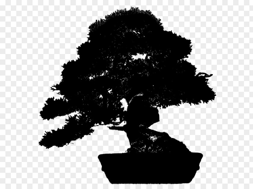 Tree Silhouette Bonsai PNG