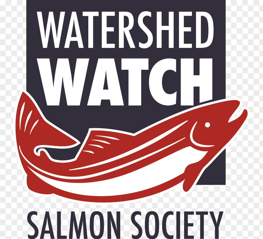 Westside Creeks Restoration Project Battlefield V British Columbia Salmon Bristol Bay Society PNG