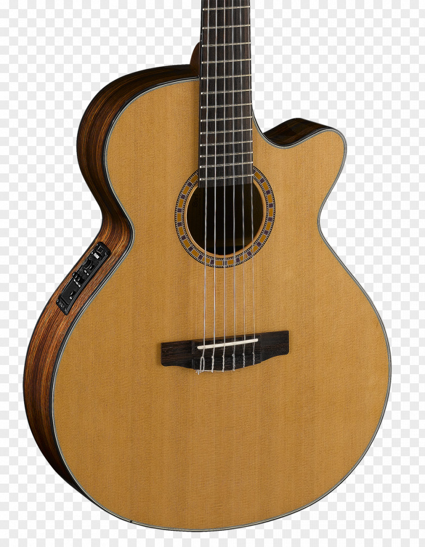 Acoustic Guitar Steel-string Classical Cort Guitars PNG