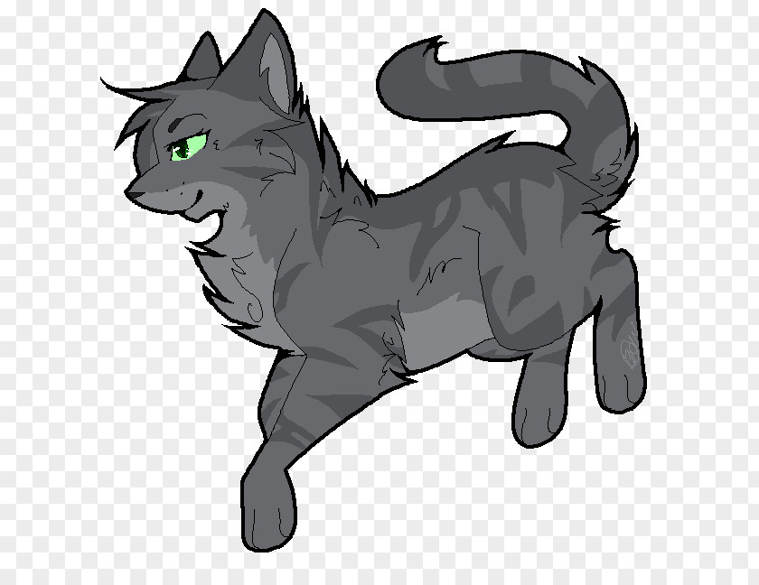 Cat Whiskers The Rise Of Scourge Warriors Willowshine PNG