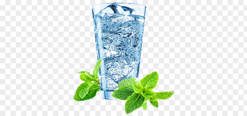 Drink Fizzy Drinks Carbonated Water Ionizer PNG