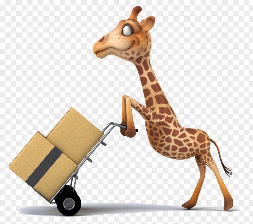 Interesting Giraffe 3D Computer Graphics Northern Cartoon PNG