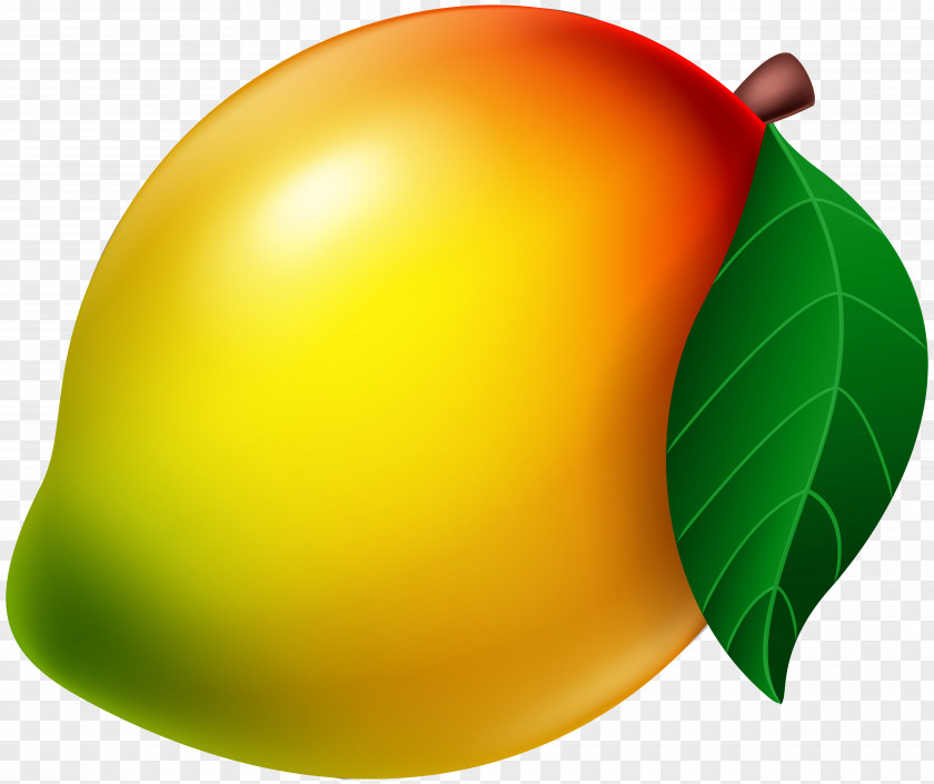 Mango Fruit Clip Art PNG